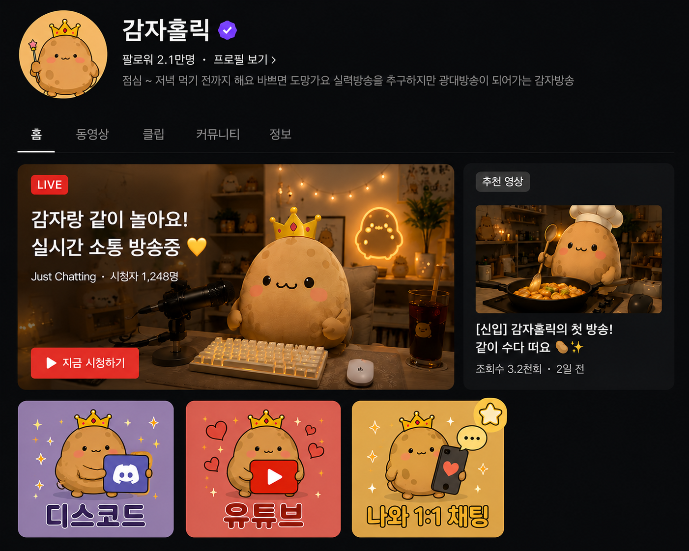 치지직 채널 홈 하단에 '나와 1:1 채팅' RallyCat 링크 배너를 배치한 예시 화면